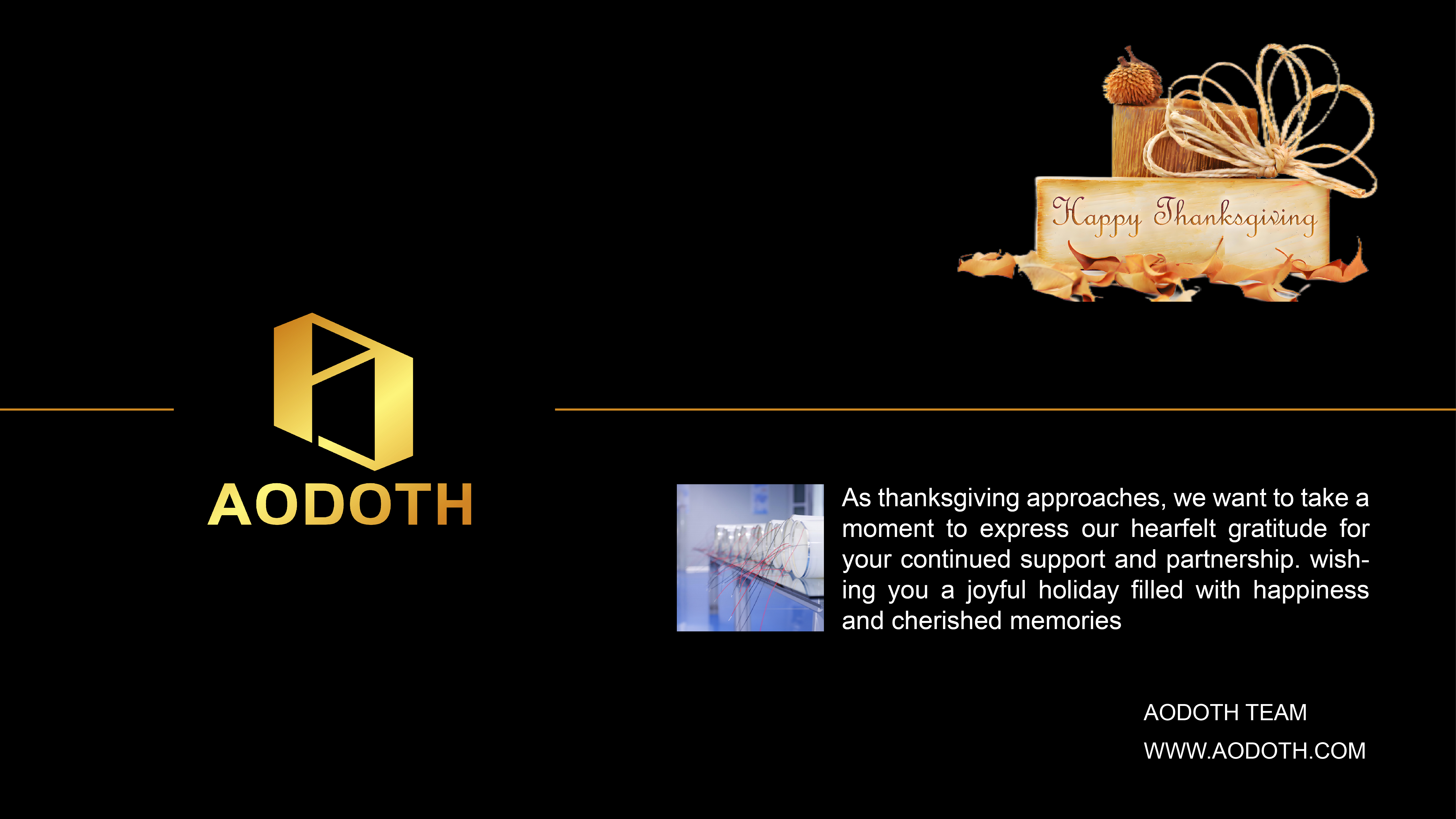 1732859582158382.jpg 感恩节.jpg